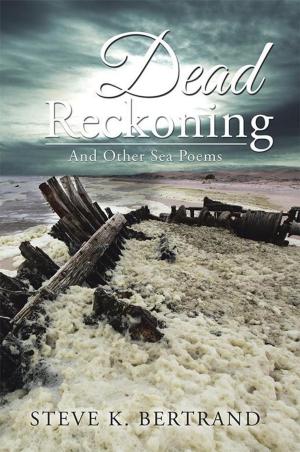 Cover of the book Dead Reckoning by Rick Widener
