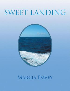 Cover of the book Sweet Landing by Douglas V. Maurer