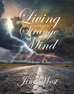 Cover of the book Living Within a Strange Mind by Gary Willmore