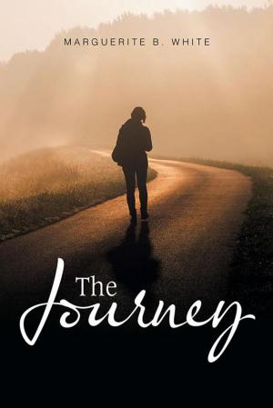 Cover of the book The Journey by Barbara Bailey