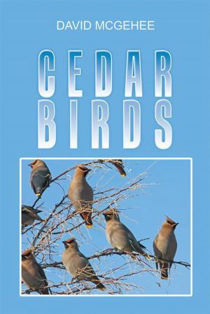 Cover of the book Cedar Birds by Crisjen Opperman