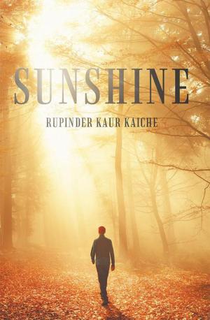 Cover of the book Sunshine by Vanaja Banagiri