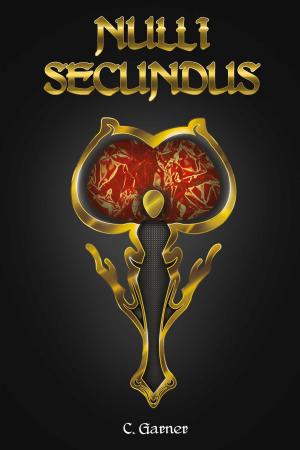 Cover of the book Nulli Secundus by Aria Chase