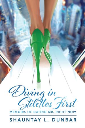 Cover of the book Diving in Stilettos First by Vicky Dezine