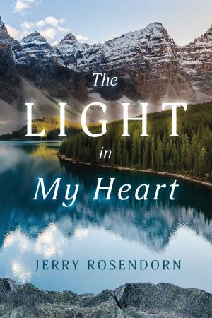 Cover of the book The Light in My Heart by Nancy Peterson