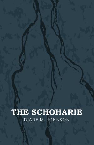 Cover of the book The Schoharie by Darleen Johnson