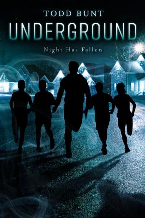 Cover of the book Underground by Esther Weinberg
