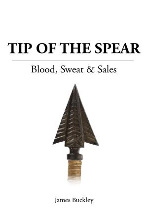 Cover of the book Tip of the Spear by Scott Kolbaba