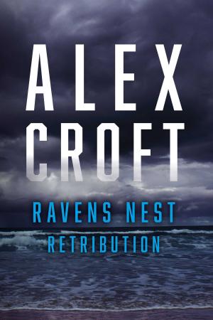 Cover of the book Ravens Nest Retribution by David Haward Bain