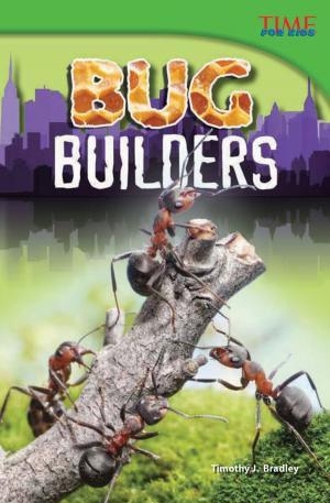 Cover of the book Bug Builders by Jenna Winterberg