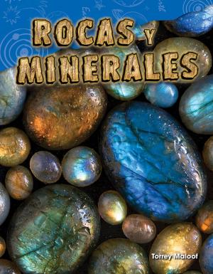 Cover of the book Rocas y Minerales by Debra J. Housel