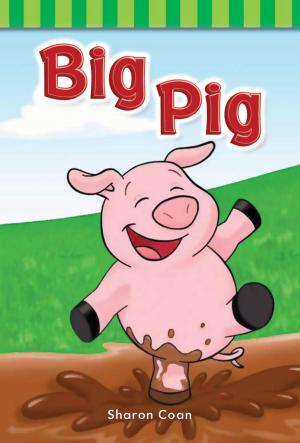 Book cover of Big Pig