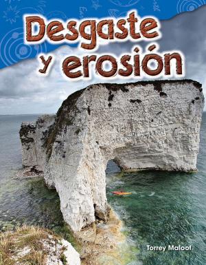 Cover of the book Desgaste y erosión by Stephanie Paris