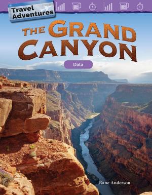 bigCover of the book Travel Adventures: The Grand Canyon Data by 