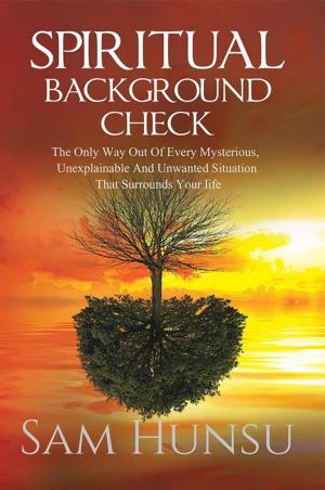 Cover of the book Spiritual Background Check by Heidi Ebelt