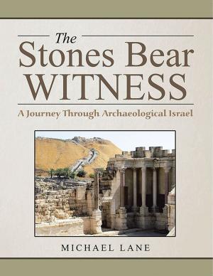 Cover of the book The Stones Bear Witness by Charlie L. Towler III.
