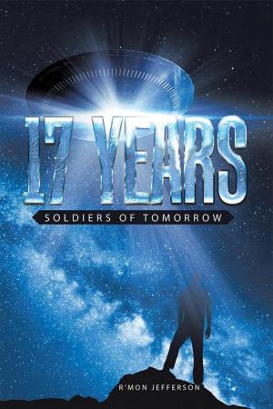 Cover of the book 17 Years by Matt Schmitz
