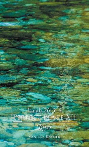 Cover of the book Isaiah 26:3–4 “Perfect Peace Xii” by Arnie Grimm