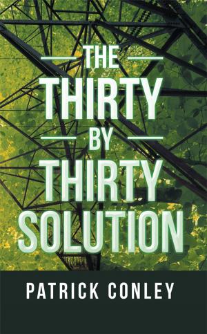 Cover of the book The Thirty by Thirty Solution by FAST EDDIE X WILLS