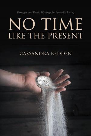 Cover of the book No Time Like the Present by Quintin Peterson