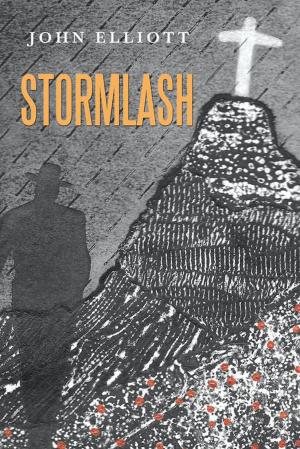 Cover of the book Stormlash by Michael M. O'Brien