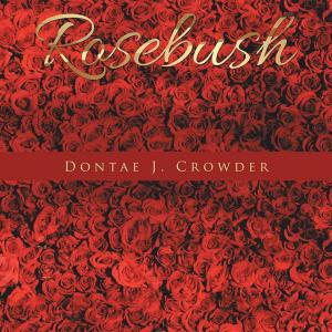 Cover of the book Rosebush by Ann-Marie Bochicchio - Survivor!