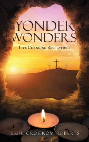 Cover of the book Yonder Wonders by Jan Hahn