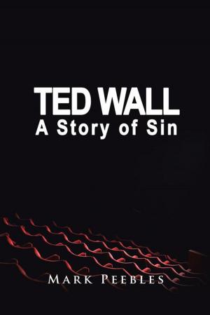 Cover of the book Ted Wall, a Story of Sin by C. Raymond Nowlin Sr.