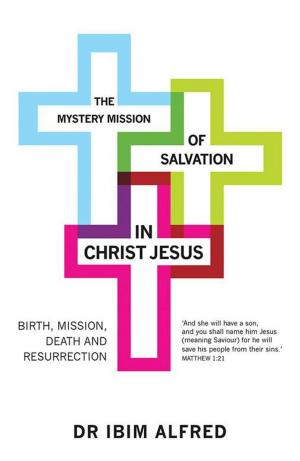 bigCover of the book The Mystery Mission of Salvation in Christ Jesus by 