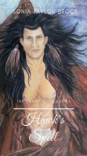 Cover of the book Hawk's Spell by Clair McIntyre