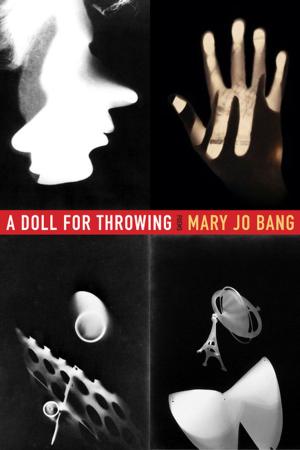 Cover of the book A Doll for Throwing by Ander Monson