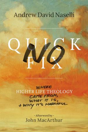 Book cover of No Quick Fix