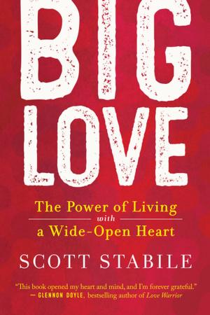 Cover of the book Big Love by Alison Bonds Shapiro