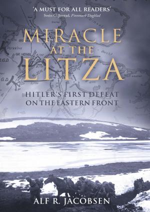 Cover of the book Miracle at the Litza by Michael Silverman