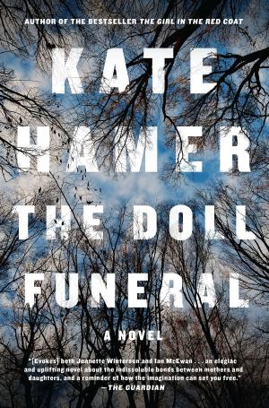 Cover of the book The Doll Funeral by Theresa Sederholt