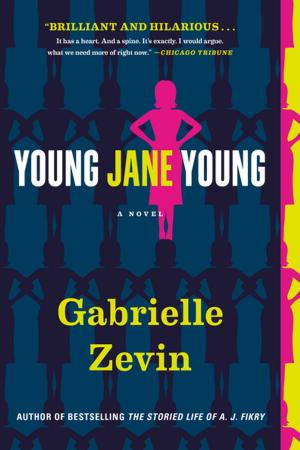 Cover of the book Young Jane Young by Janet Groth