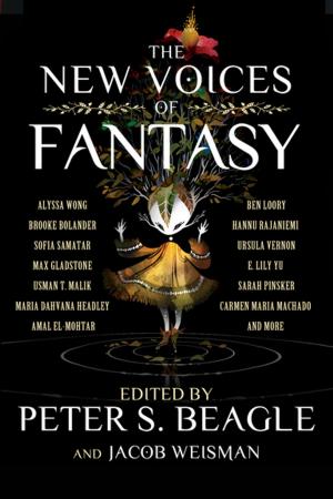Cover of the book The New Voices of Fantasy by Jane Yolen