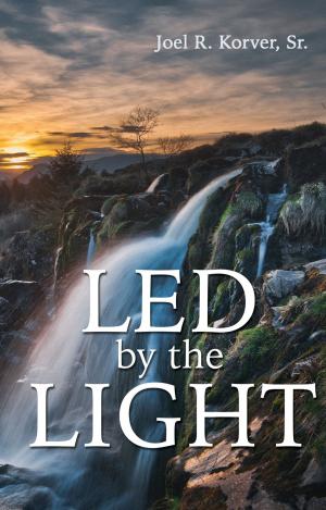 Book cover of Led by the Light