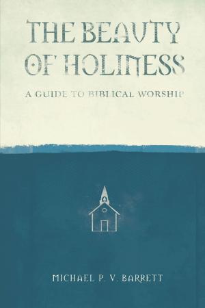 Cover of the book The Beauty of Holiness by Rachel Britz