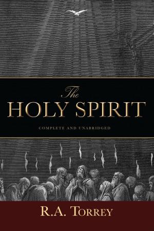 Cover of the book The Holy Spirit by Lester L. Stephenson