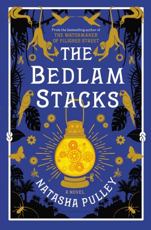 Cover of the book The Bedlam Stacks by Huw Lewis-Jones, Kari Herbert