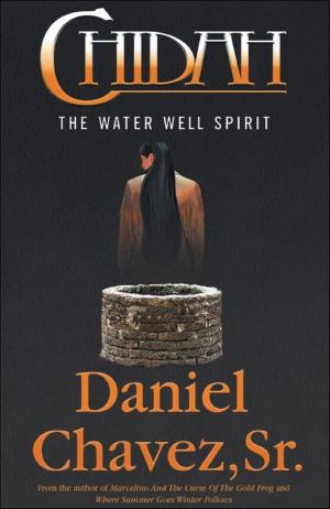 Book cover of Chidah: The Water Well Spirit