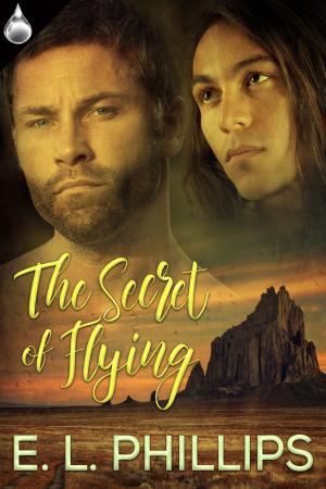 Book cover of The Secret of Flying