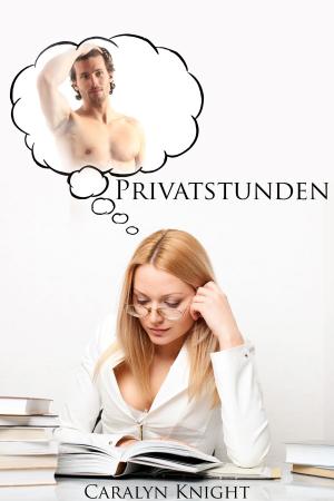 Cover of the book Privatstunden by Kimberly Knight
