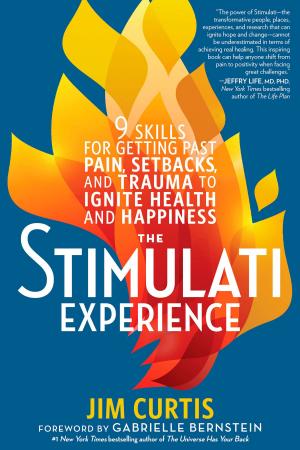 Cover of the book The Stimulati Experience by Carmen Pastor, Juan Sevilla
