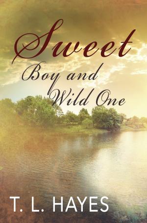 Cover of the book Sweet Boy and Wild One by Jackie D