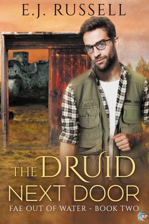 Cover of the book The Druid Next Door by Rachel Haimowitz