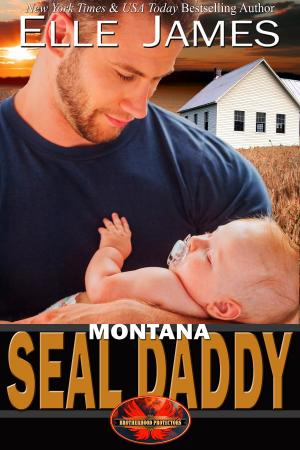 Cover of the book Montana SEAL Daddy by Elle James
