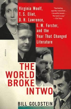 Cover of the book The World Broke in Two by Barbara D. Rosof