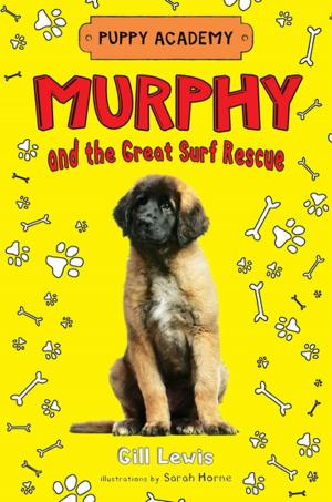 Cover of the book Murphy and the Great Surf Rescue by Jill Wolfson